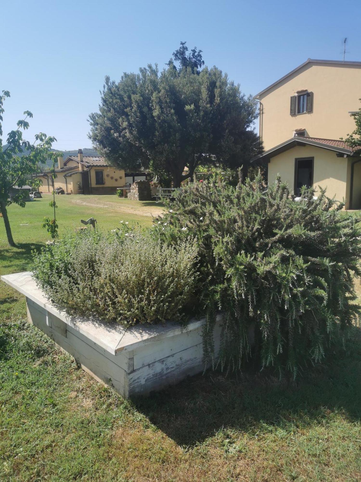 Podere Serena Castagneto Carducci Exteriér fotografie