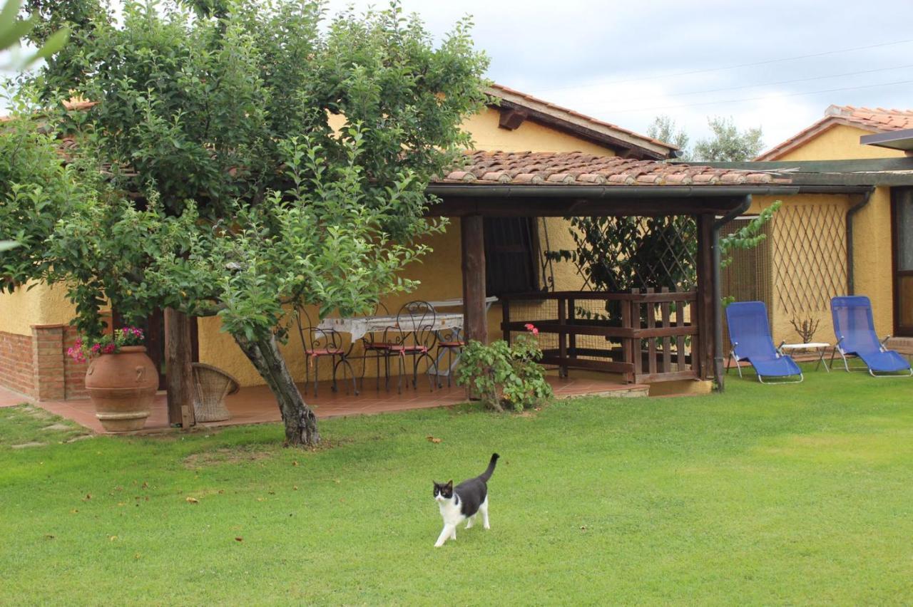 Podere Serena Castagneto Carducci Exteriér fotografie