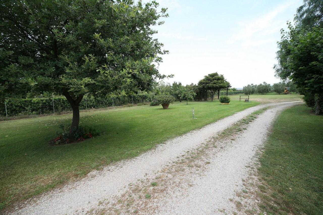 Podere Serena Castagneto Carducci Exteriér fotografie