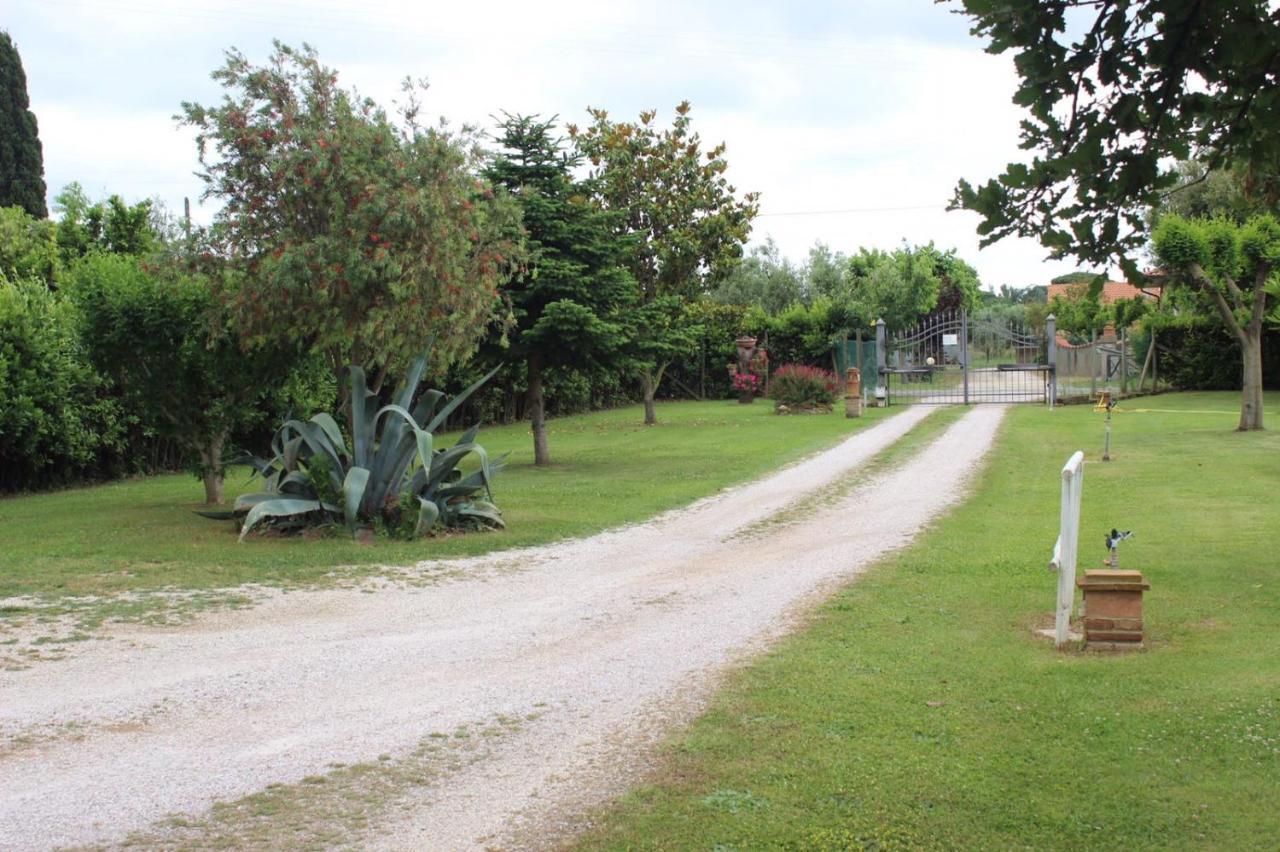 Podere Serena Castagneto Carducci Exteriér fotografie