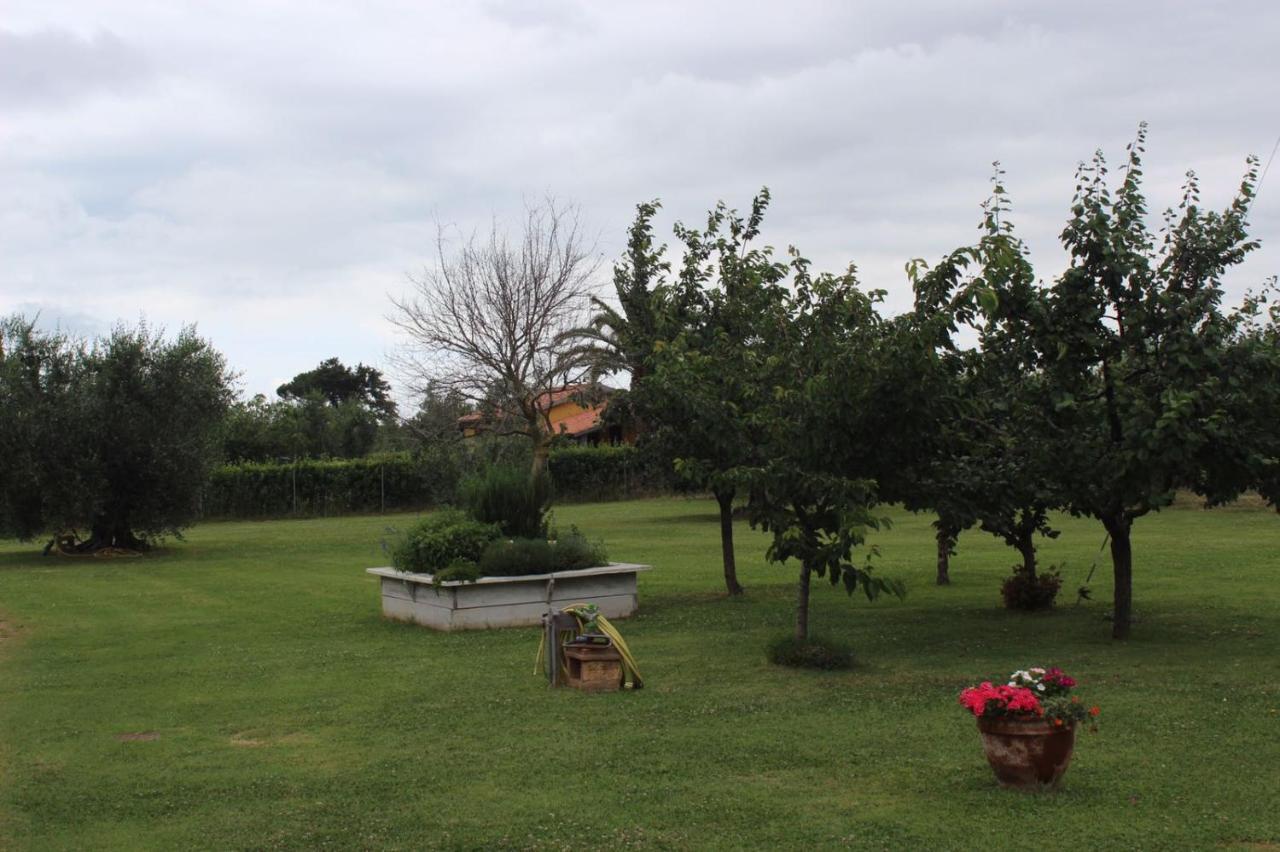 Podere Serena Castagneto Carducci Exteriér fotografie